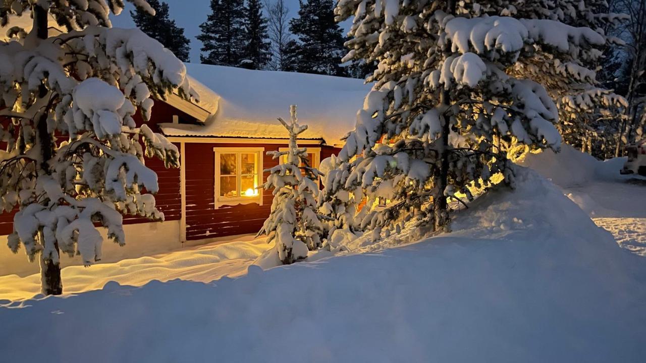 Mountain Cabin Лофсдален Экстерьер фото